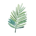 thumbnail image 3 of Popp, Grace 15x18 Black Modern Framed Museum Art Print Titled - Untethered Palms V, 3 of 5