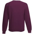 thumbnail image 2 of Fruit Of The Loom Chandail en Molleton à Manches Raglan pour Enfants (Lot de 2), 2 of 2