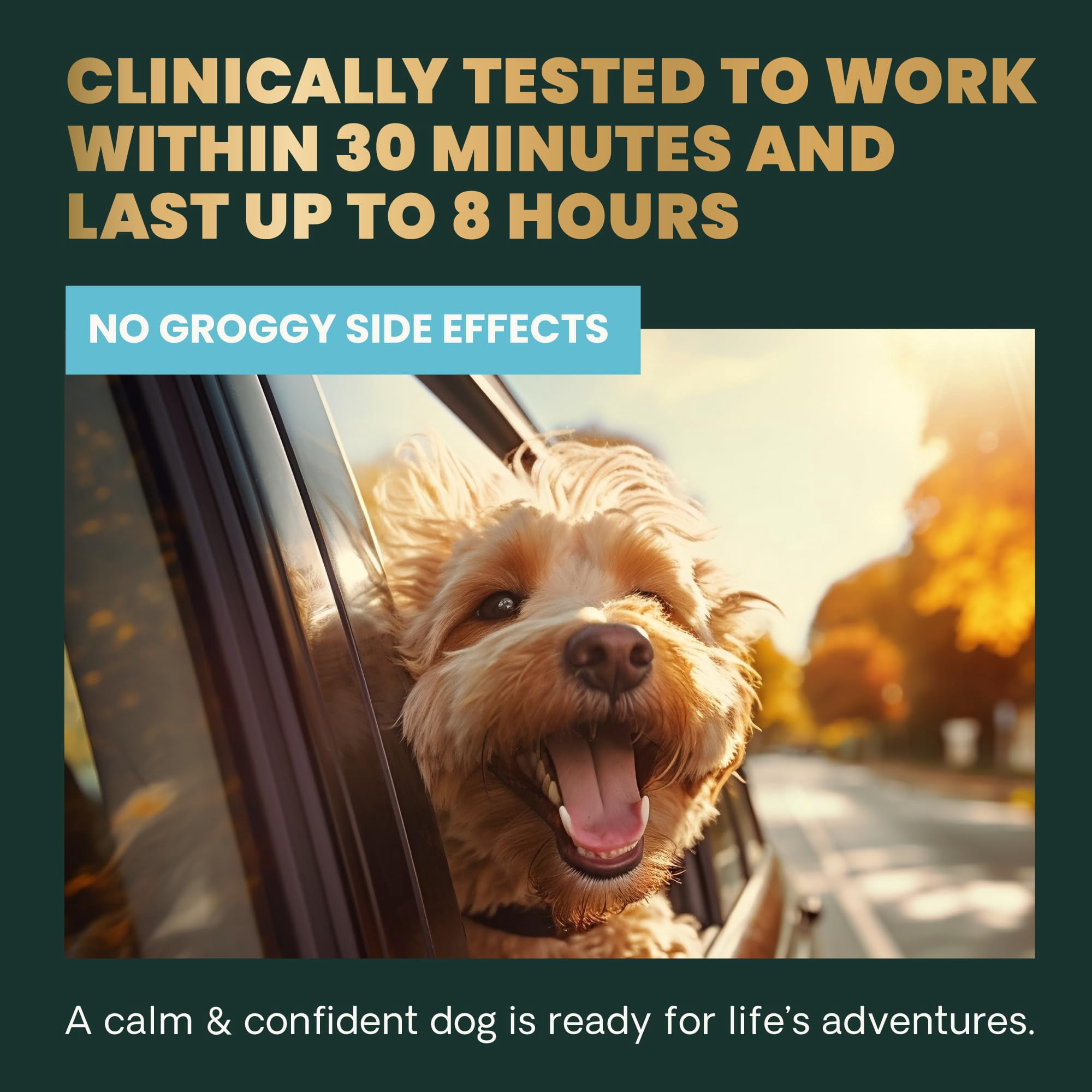 VetriScience Composure Long Lasting for Dogs, Calming Behavior and Anxiety Support, Chicken Liver Flavor, 90 Bite Sized Chews