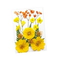 thumbnail image 4 of Flores prensadas secas Strade Fareast Limited Material de fabricación DIY Amarillo, 4 of 8