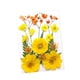thumbnail image 4 of Flores prensadas secas, manualidades DIY para álbumes de recortes, Kits de hojas secas para decoración de uñas, manualidades, marcapáginas, pantallas Amarillo Macarena flores secas prensadas, 4 of 8