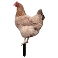 thumbnail image 1 of Insert acrílico para patio exterior con gallina, tarjeta decorativa para jardín, 1 of 2