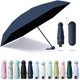 thumbnail image 1 of Sun Umbrella Folded Ultra-light Six-bone With Box Sun Protection UV Protection Sun Shade Sunshine Rain Dual Purpose Great for Travel Girls and Women, 1 of 5