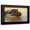 thumbnail image 1 of Chang, Phillip 24x17 Black Modern Framed Museum Art Print Titled - The rise of the hippo, 1 of 5