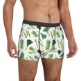 thumbnail image 5 of Men's Boxer Briefs, vegetable Asparagu Soft Comfy Mens Underwear Boxer Briefs Breathable With Widen Waist, 5 of 7