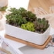 thumbnail image 5 of EeaseMX 2 macetas creativas con bandeja, maceta sencilla para plantas suculentas., 5 of 8