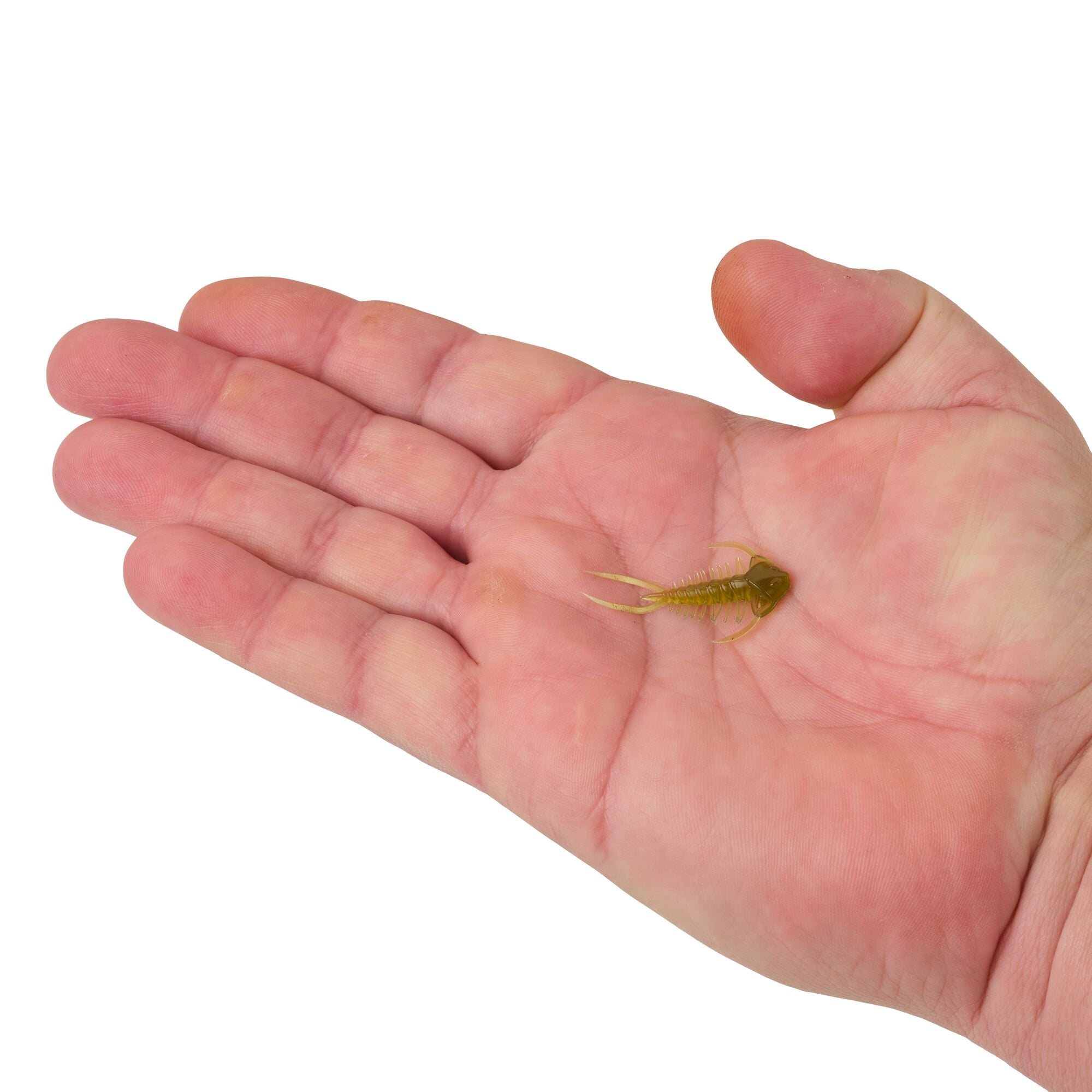 Berkley PowerBait® Trilobite, 1.5 in, Creatures, Blown Motor (6 Count)