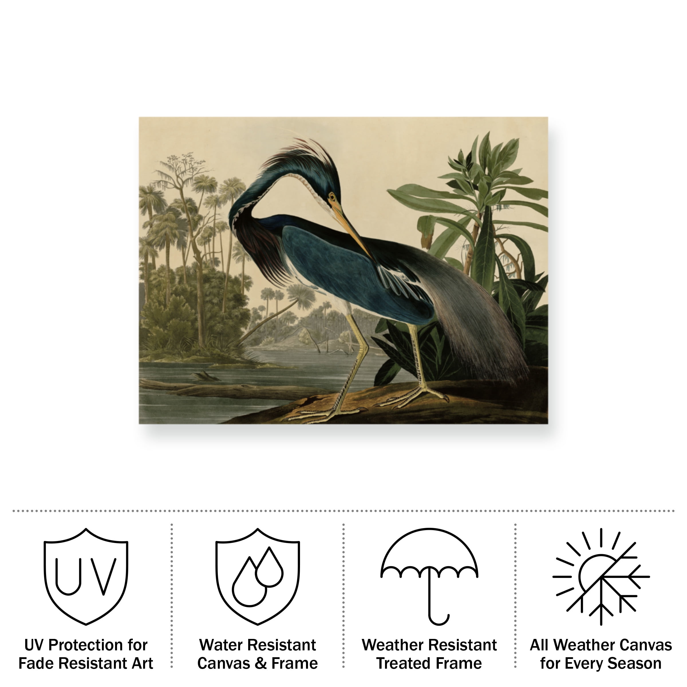John James Audubon 'Louisiana Heron' Outdoor All-Weather Wall Decor