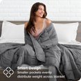 Weighted Blanket Queen Size 22lb (60" x 80") for Adults AllNatural