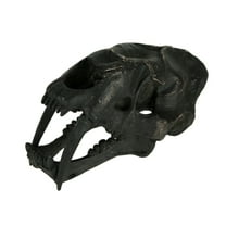 Zeckos Black Saber Toothed Cat Skull Statue Small