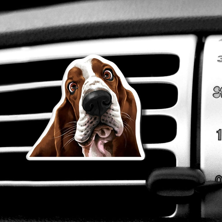 Basset hound cheap accessories