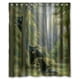 thumbnail image 1 of ABPHQTO Familia de osos negros en el bosque Cortina de ducha Cortina de ducha impermeable 150x180 cm, 1 of 2