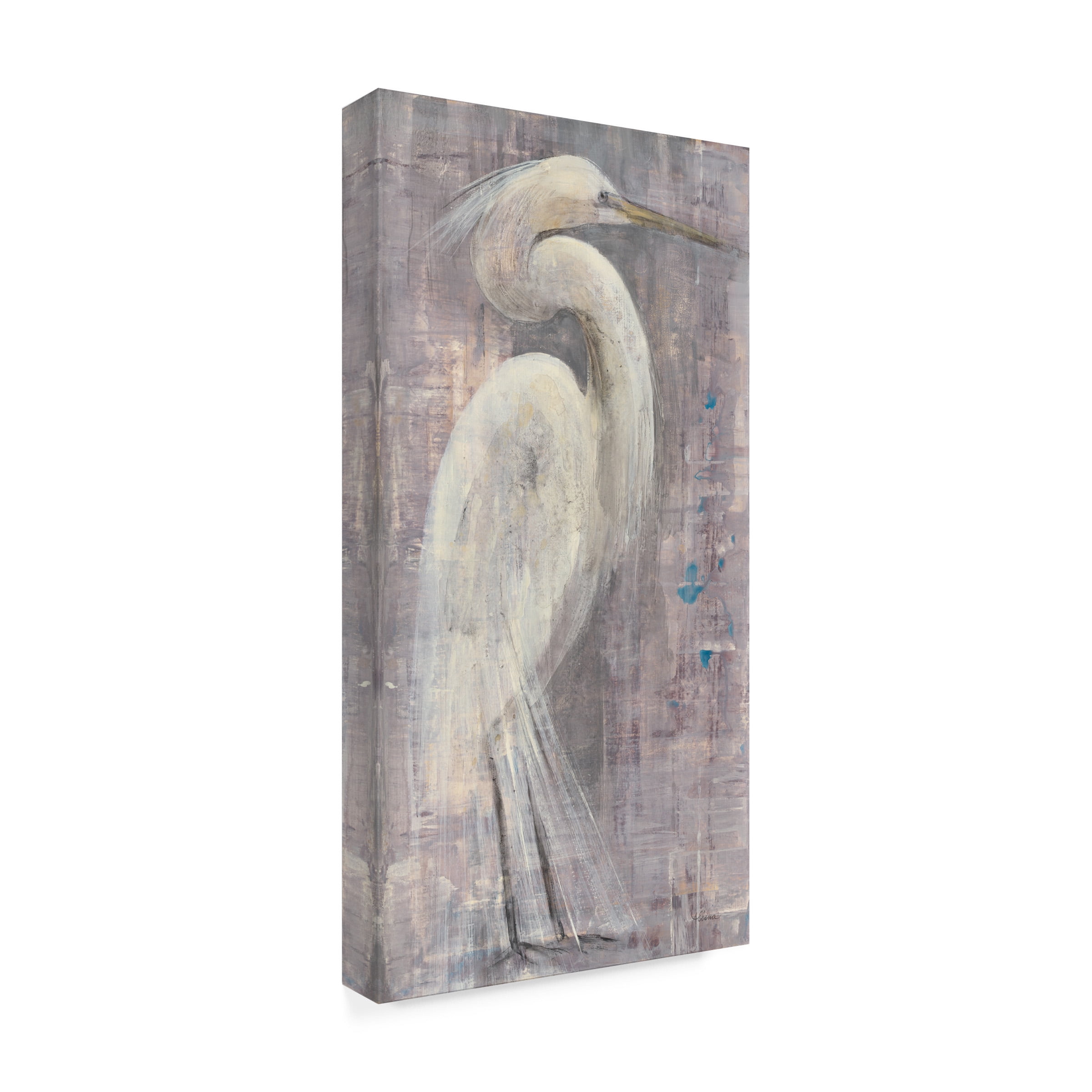 Trademark Fine Art 'Coastal Egret I' Canvas Art by Albena Hristova
