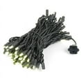 thumbnail image 2 of Novelty Lights 100 Light Warm White LED Christmas Mini Light Set (Black Wire, 50 Feet), 2 of 6