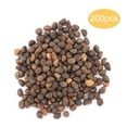 thumbnail image 1 of Paquete de 200 semillas de espinaca de alta germinación para horticultura, 1 of 6