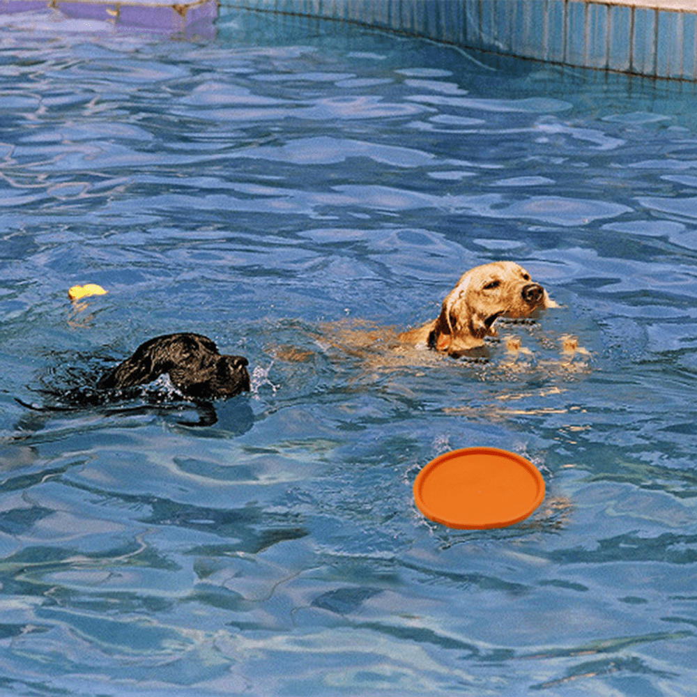 Frisbee para perros Golden Retriever Practico adiestramiento de perros Juguete para mascotas Disco volador de goma suave flotante resistente a las mordeduras caucho natural diametro 22 cm naranja Bode...