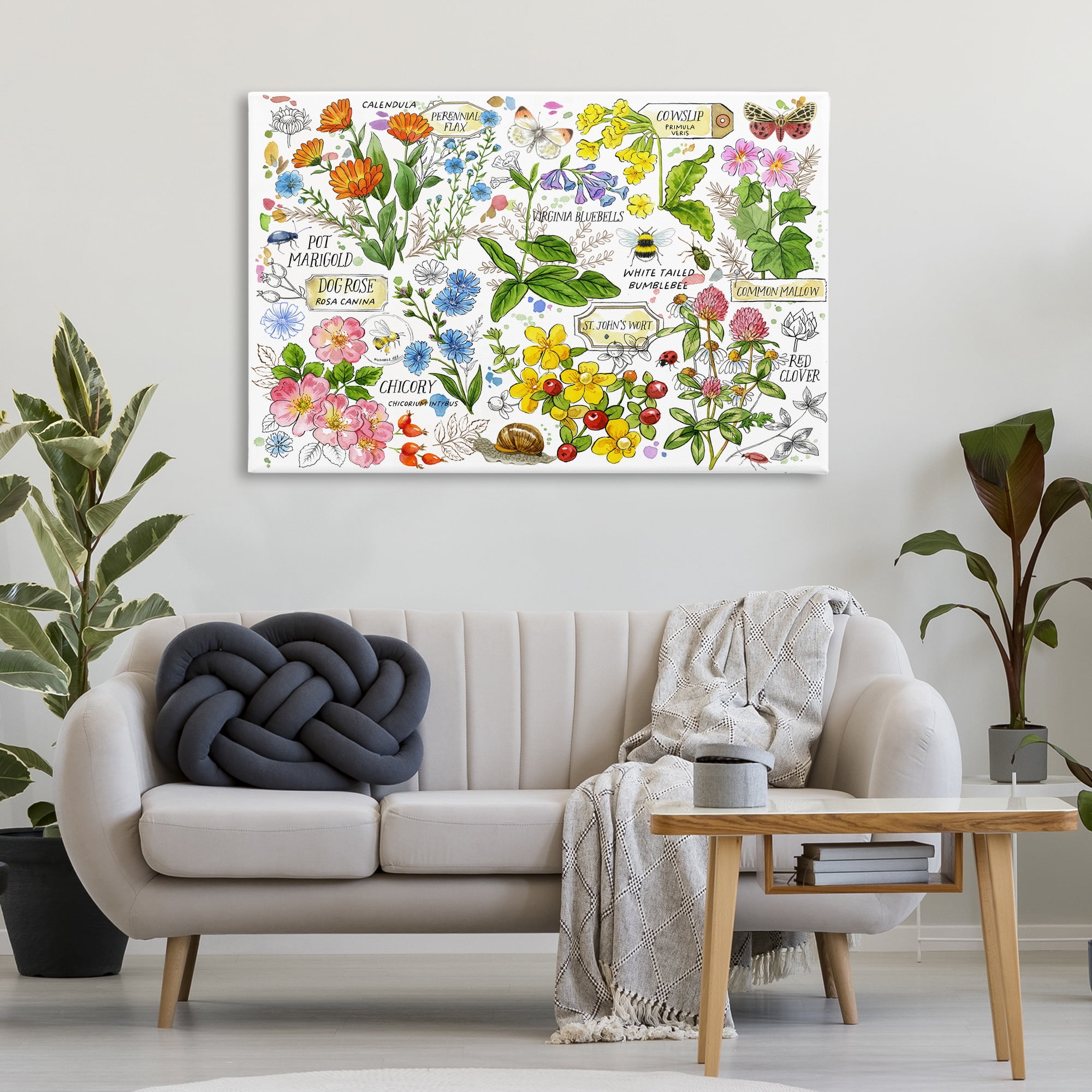 Stupell Industries Various Herbs Benefits Botanical & Floral Painting Gallery Wrapped Canvas Art Print Wall Art, 45 x 30