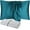 Blue Green, variant on DISANGNI 100% Natural Mulberry Silk Pillow case for Hair and Skin with Hidden Zipper 22 Momme Both Sides Real Silk Pillow Case (1pc Standard Size 20" x26", White)