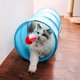 thumbnail image 3 of Túnel de gato para gatos de interior interactivo, juguetes de túnel de conejo, juguetes para mascotas, túneles de juego para gatos, gatitos, conejos, cachorros, plegable, plegable, verde claro, 20.0 i, 3 of 5