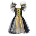 thumbnail image 1 of YOUSNH Halloween Tout-Petits Enfants Bébés Filles Magnifique Sorcière Robe Noire Déguisement Fête Tulle Robes Robes pour Filles F_001 2-3 Ans, 1 of 5