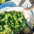 thumbnail image 2 of Gardens Alive! Floating Standard Weight Fabric Row Cover - 61 In x 110 ft, 2 of 2