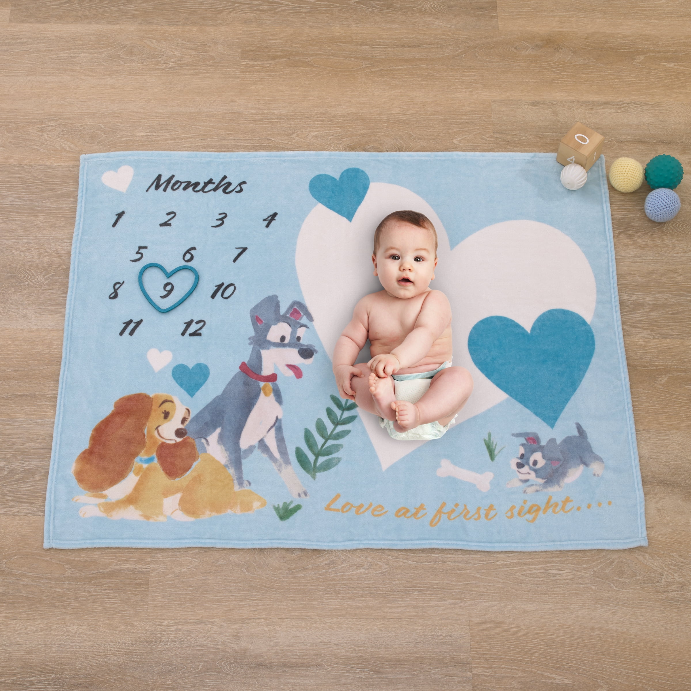 Disney Lady & the Tramp Photo Op Milestone Baby Blanket