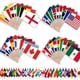 thumbnail image 1 of Banderas portátiles de la Copa Mundial AhfuLife, banderas internacionales de 48 países con mástil de, 1 of 7