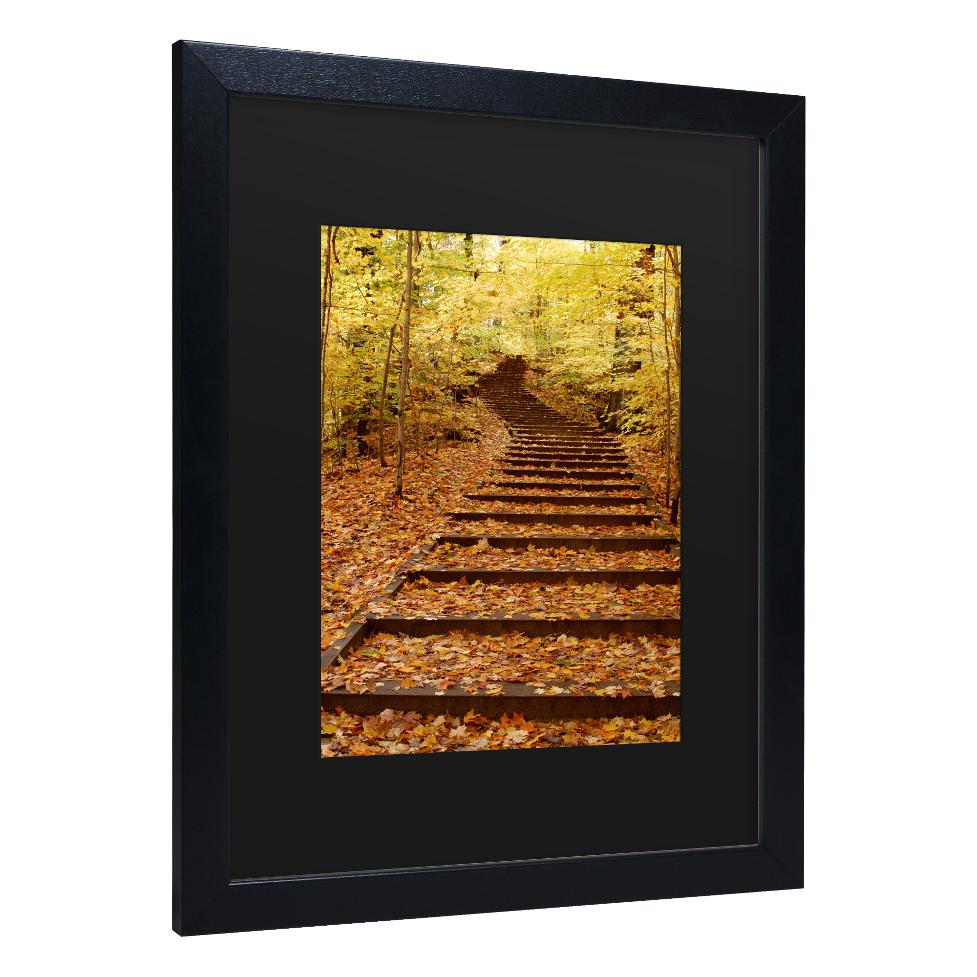 Trademark Fine Art 'Fall Stairway' Canvas Art by Kurt Shaffer