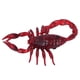 thumbnail image 5 of Escorpión de Control remoto realista, juguete de truco de escorpión RC de alta simulación para Halloween, 5 of 5