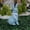 Blue Sitting Easter Bunny with White Bow: (D:3.54in H:6.30in W:3.15in) 0.66lb 300g, variant on VERNIDO Easter Bunny Figurine with White Ribbon Bow, Choose from 7 Styles: Blue Pink Brown White Sitting or Pink Brown White Standing, Resin Woven Wicker Texture Rabbit Statue, Spring Easter Tabletop