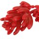 thumbnail image 5 of 3-rama Suculenta Planta Flor Follaje Artificial Plástico Decoración Hogar Boda Fiesta Rojo Sunnimix Planta artificial, 5 of 8