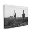 thumbnail image 3 of Stupell Industries Desert Cactus Arid Vegetation Monochrome Nature Photography Photograph Gallery Wrapped Canvas Print Wall Art, Design by Graffitee Studios, 3 of 5