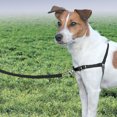 thumbnail image 2 of PetSafe, Harness - Black, 2 of 2