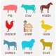 thumbnail image 1 of Set de plantillas de animales de granja - 30x30 cm (11,8x11,8 pulgadas) - Plantillas de animales: cerdo, vaca, caballo, gallina, establo, pato, burro, oveja, cabra, 1 of 9