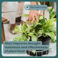 thumbnail image 6 of The Complete Plant Care Bundle (Plant Food + ProBiotics + Natural Pest Control) for HOUSEPLANTS, 6 of 6
