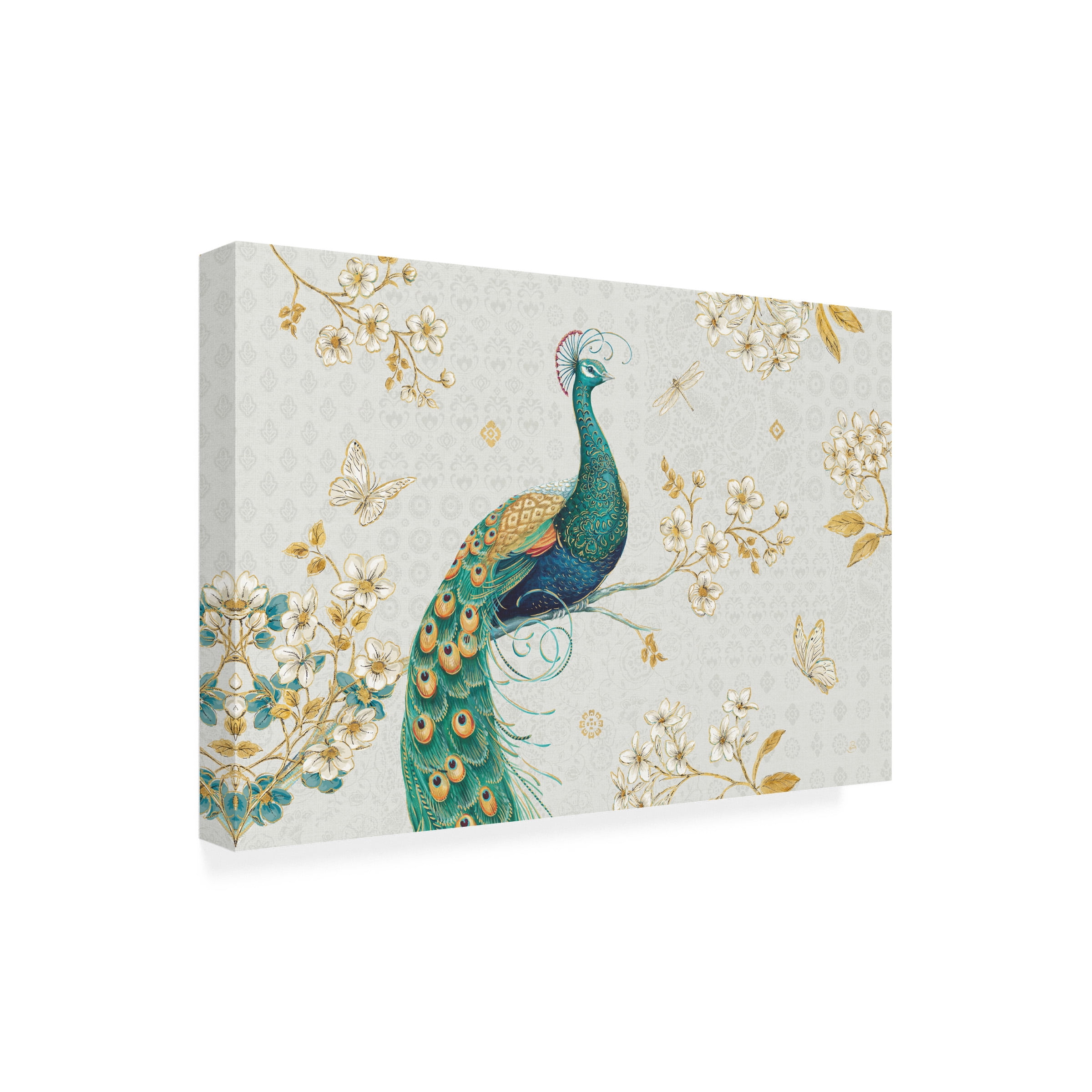 Daphne Brissonnet 'Ornate Peacock I' Canvas Art