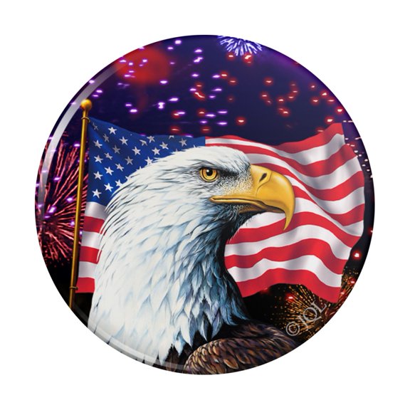 Eagle Patriotic 4th of July Celebration American Flag Fireworks Pinback Button Pin