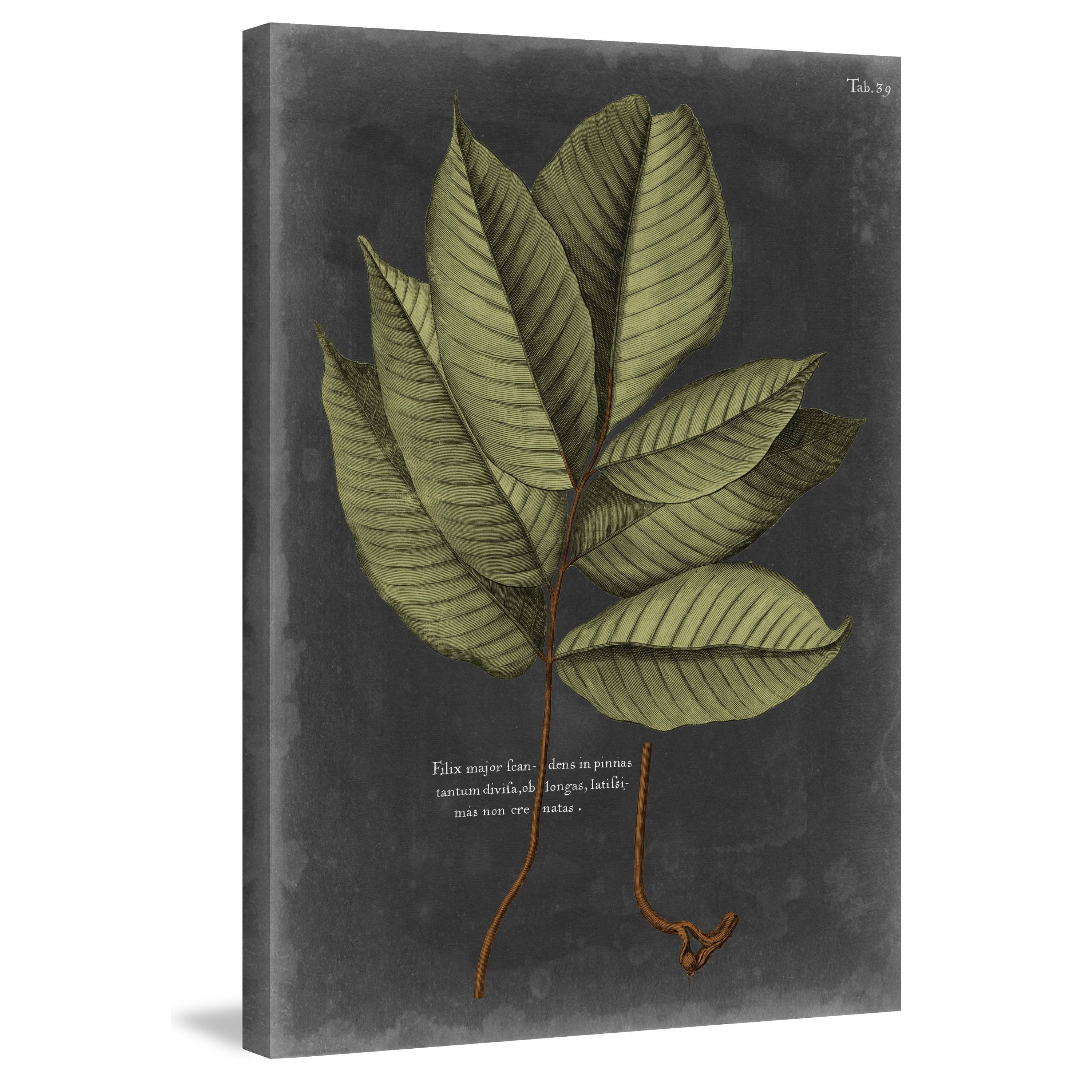 Marmont Hill "Foliage Dramatique III" Painting Print on Wrapped Canvas