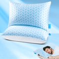 thumbnail image 1 of Almohada Qutool Firm de espuma viscoelástica triturada Cooling Queen x2, 1 of 9
