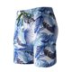 thumbnail image 1 of Pantalones cortos de playa de aguas termales de ocio para hombres, calzoncillos tipo bóxer, bañadores Fridja nalpqowj19104, 1 of 3