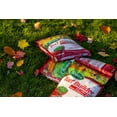 thumbnail image 4 of Scotts Turf Builder Fall Lawn Food - 5.2kg, 4 of 6