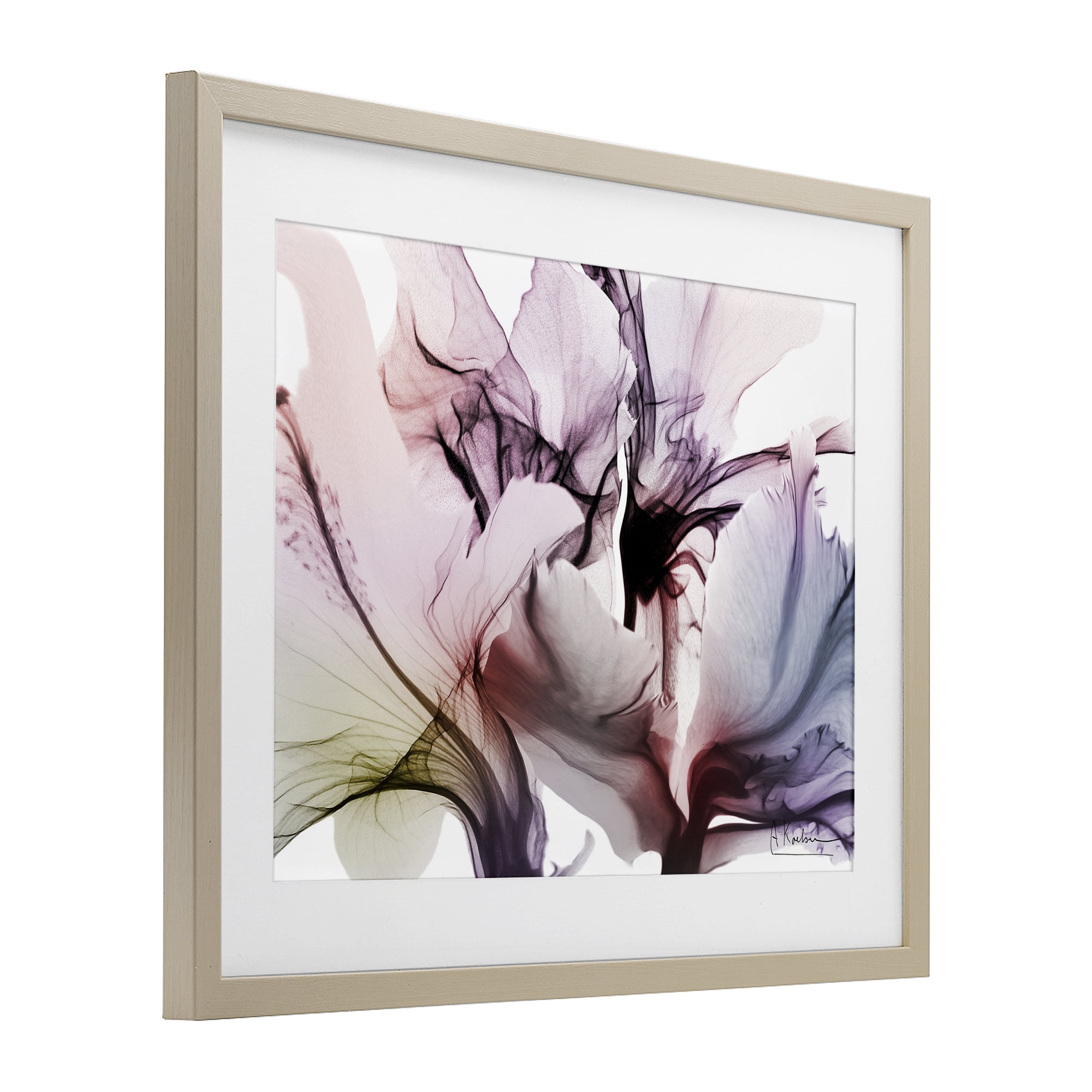 Stupell Industries Brilliant Song Flower Petals Birch Framed Print Under Glass, design by Albert Koetsier