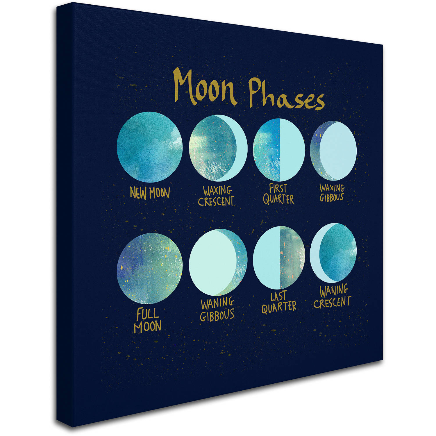 Trademark Fine Art "Moon Phases" Canvas Art by Lisa Powell Braun