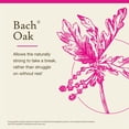 thumbnail image 3 of Esencia floral original de Bach, remedios florales de roble, 10 ml, 3 of 5