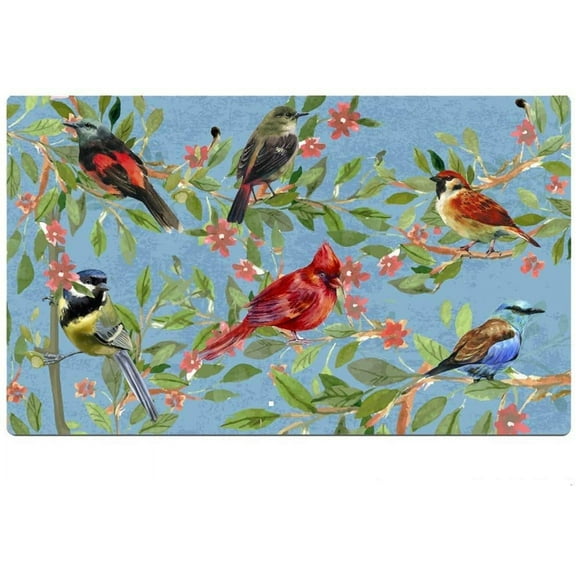 Welcome Door Mat Outdoor Indoor Enty Floor Mat Decorative Bird Print Entrance Rug Non Slip Rubber Doormat Dirt Trapper 29x17 inch