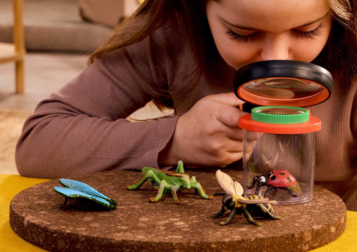 Schleich 4 PCS Backyard Insect Discovery Figurine Playset with Butterfly Bee Ladybug and Grasshopper