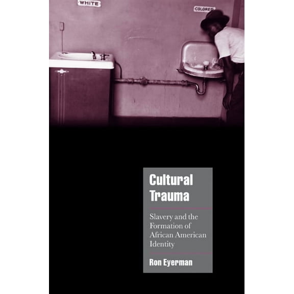 Cambridge Cultural Social Studies Cultural Trauma: Slavery and the Formation of African American Identity, (Paperback)