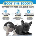 thumbnail image 4 of Oimmal Antimicrobial Anal Gland Spray for Dog, Anal Gland Support for Dogs, Relieves Anal Gland Irritations and Soothes Itching - 8.8 Fl Oz, 4 of 10