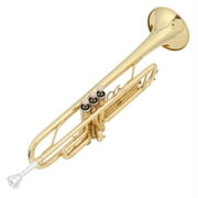 Ktaxon Bb Standard Trumpet Set, Gold Lacquer Brass with Case for Students Beginner School Band