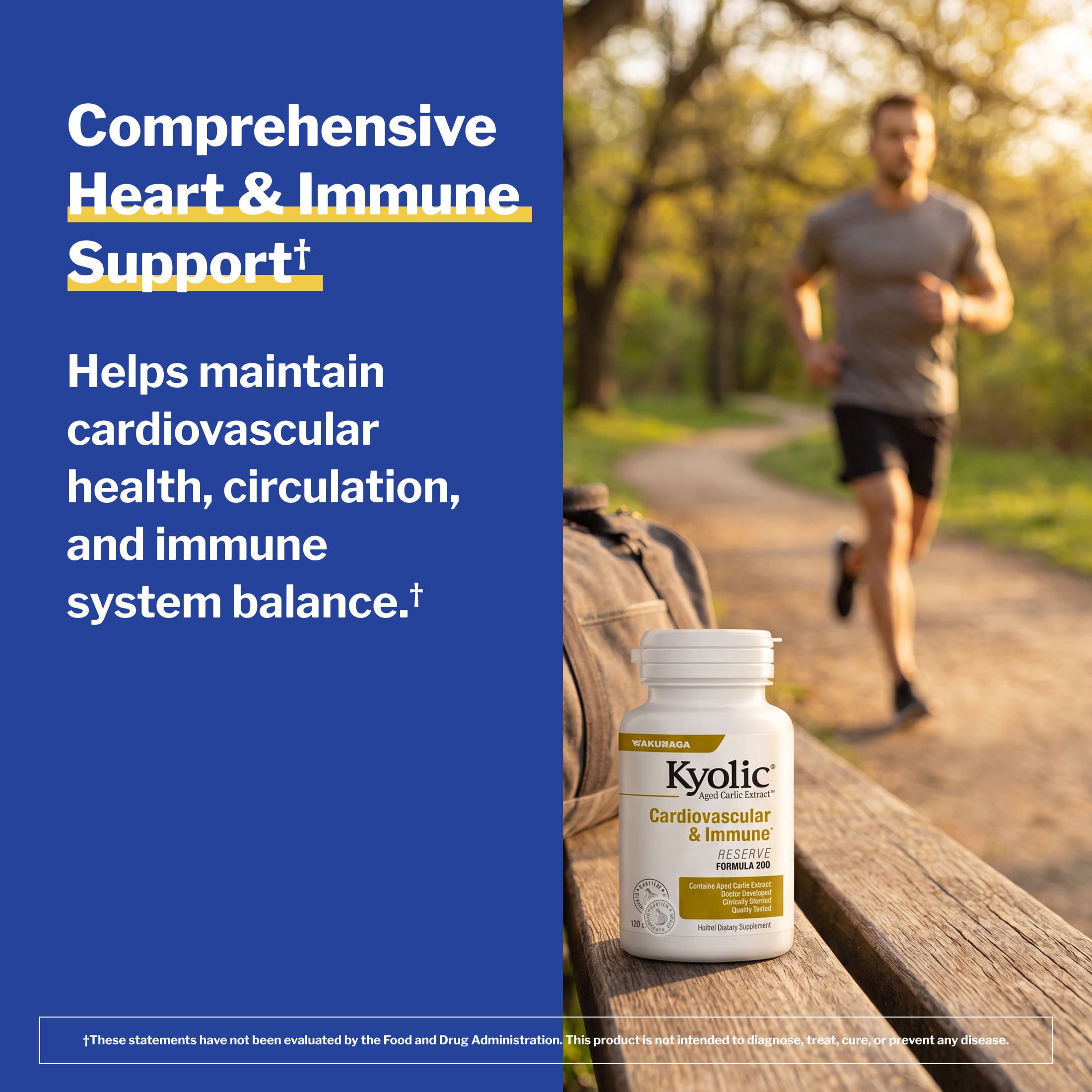 Kyolic Aged Garlic Extract Formula 200, Cardiovascular Immune, Reserve, 120 Capsules
